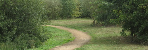 slide 7