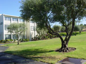 Image of campus