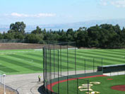 soccer pitch