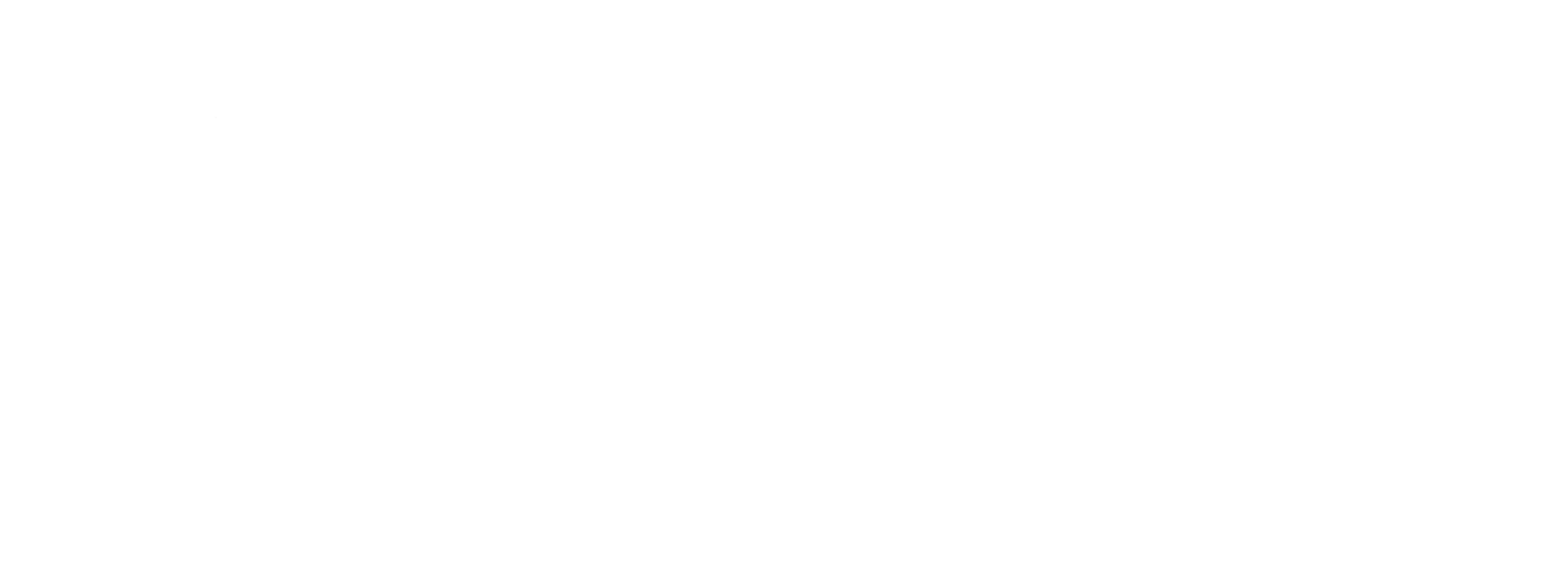 The Fashion Design & Merchandising Logo