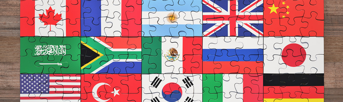 Culture and Flags Humanities header image